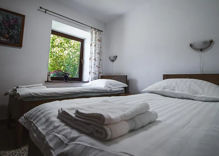 Erdőhangja Mikohaza