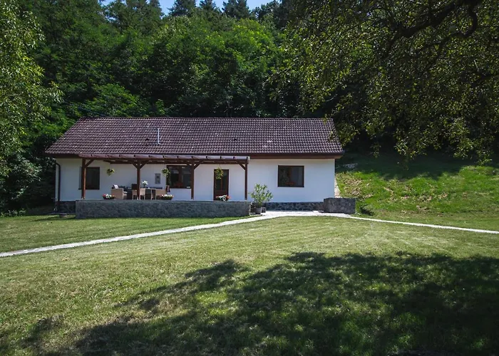 Erdőhangja Apartamento *